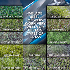 American Lawn Mower close-up of the 7-blade reel showing precise shearing blades for clean cuts