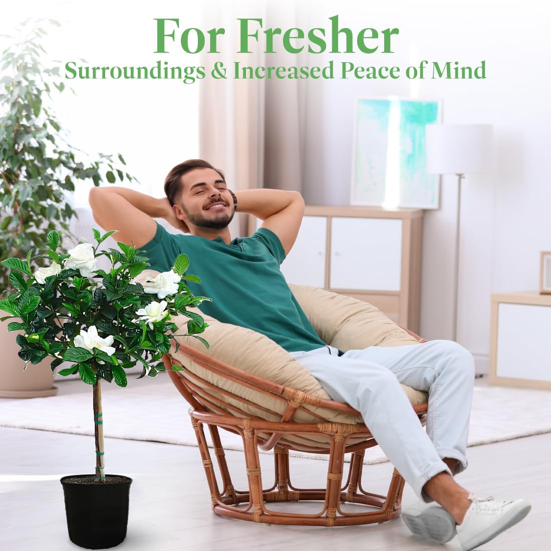 American Plant Exchange gardenia with care card showing included instructions and support