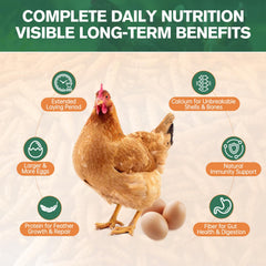 AMKAIO bowl of larvae being eaten by chickens for protein boost