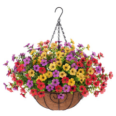 Ammyoo front view of hanging daisy basket showing full bloom benefit