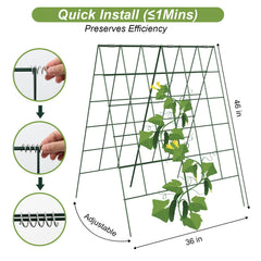 Amoskey folded flat for storage demonstrating compact seasonal stowage