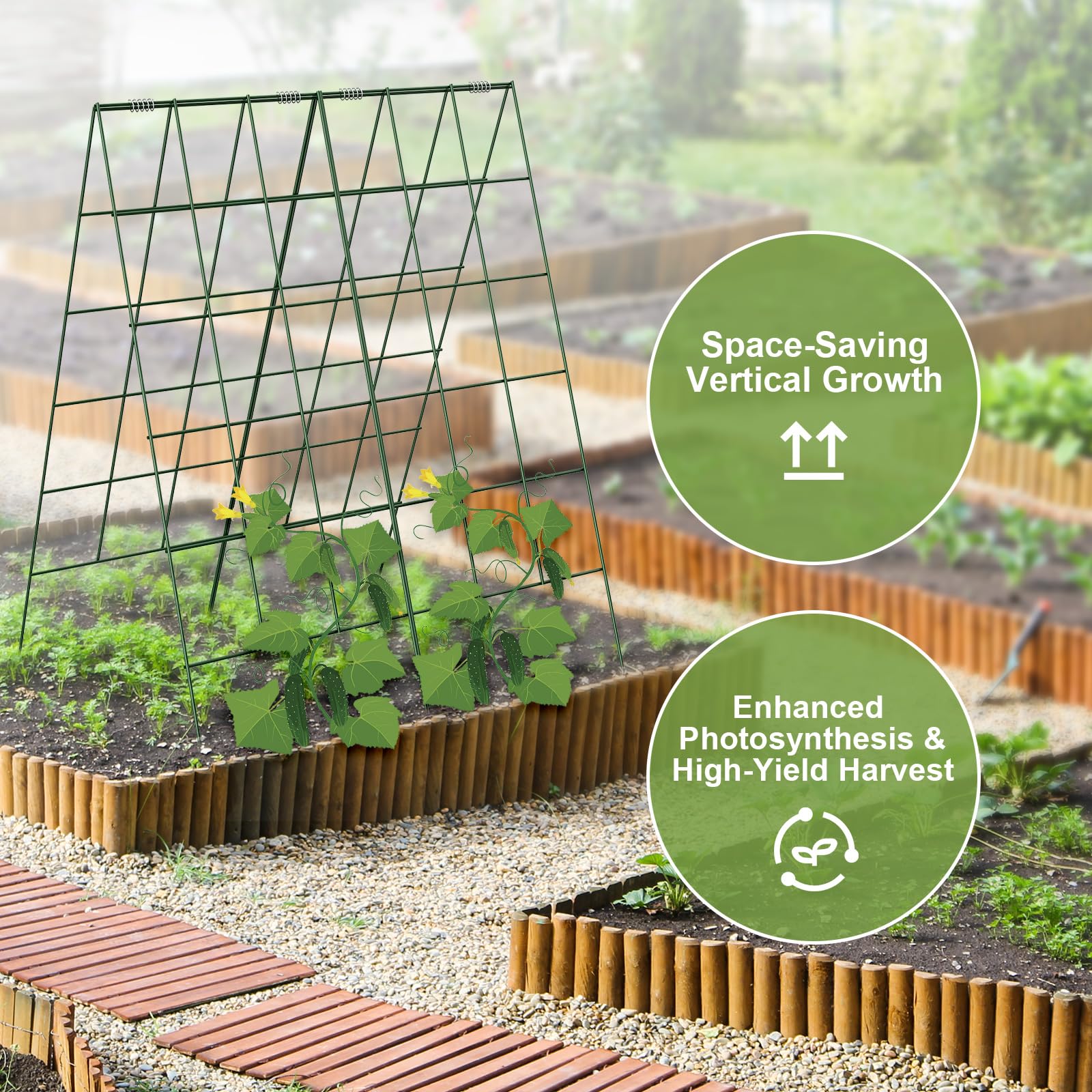 Amoskey lifestyle backyard plot portraying neat vertical vegetable rows