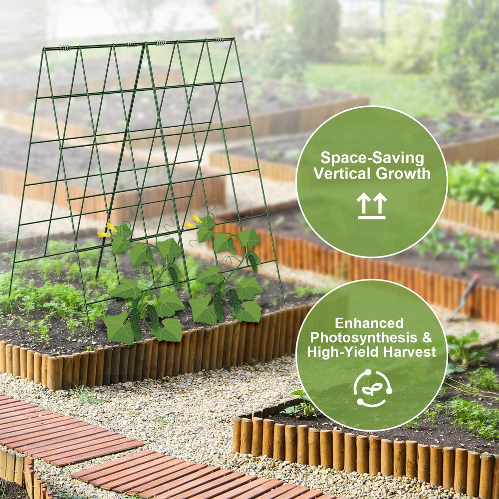 Amoskey lifestyle backyard plot portraying neat vertical vegetable rows