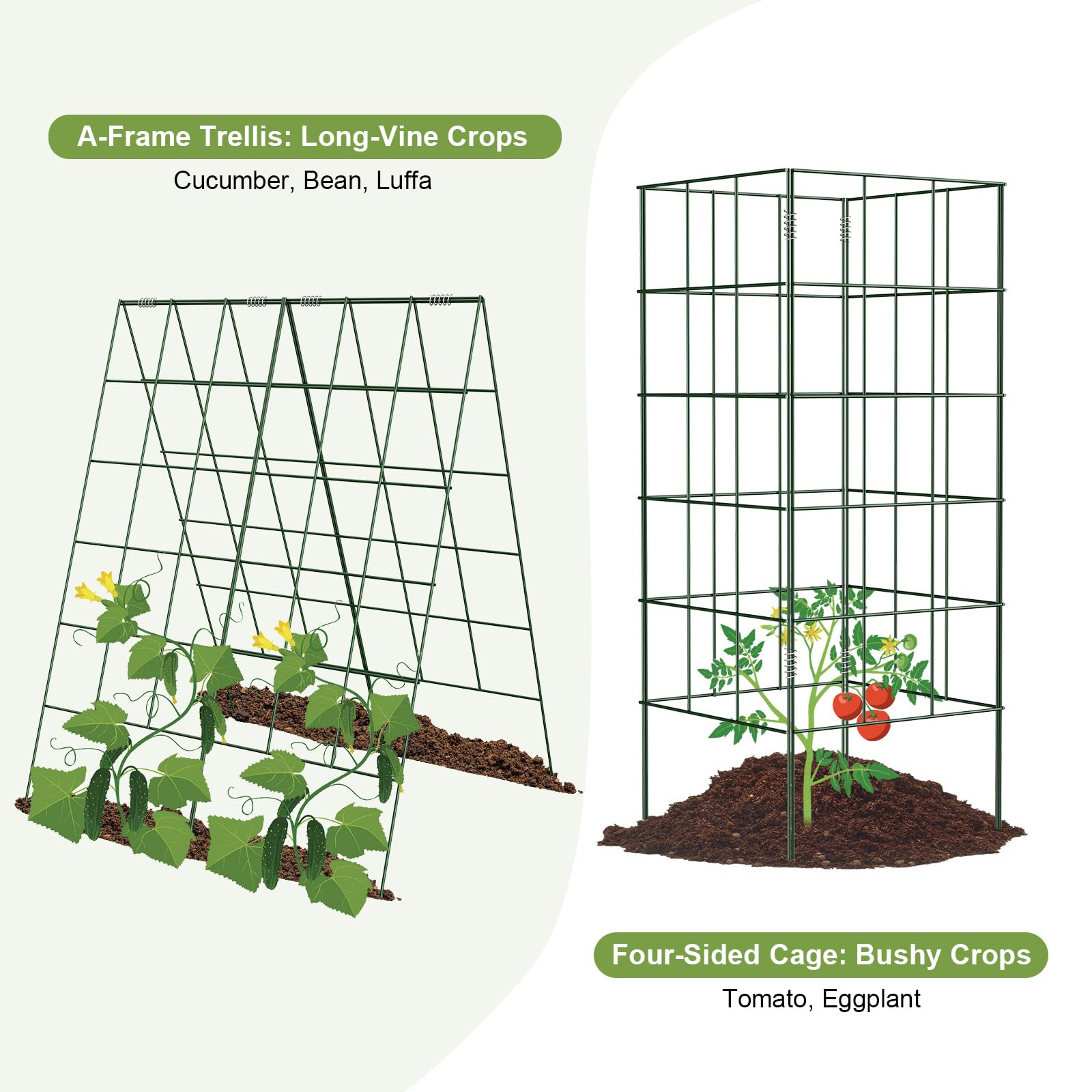 Amoskey trellis installed in raised bed boosting vertical growing space
