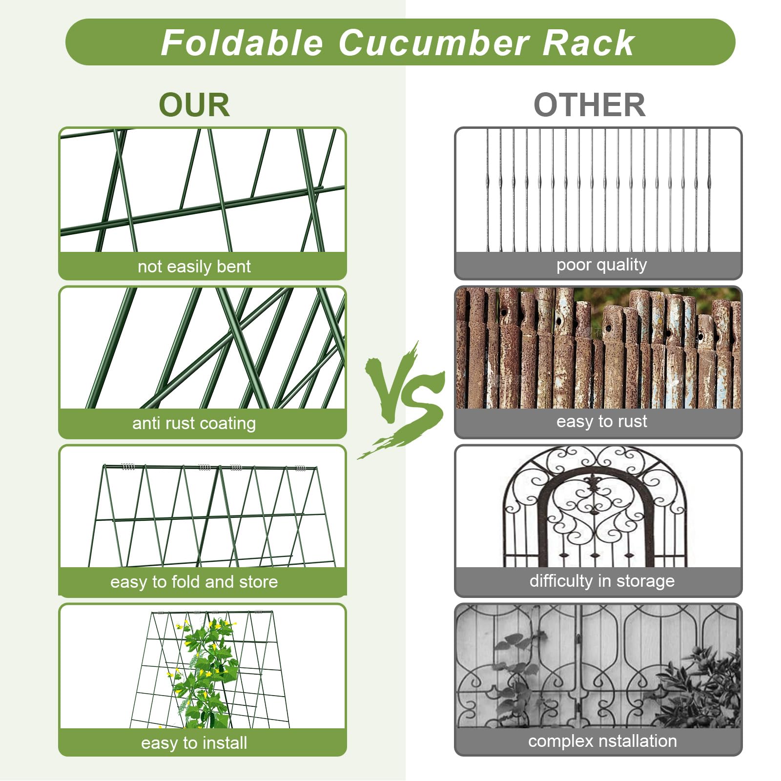Amoskey trellis with cucumbers illustrating easier harvesting and airflow