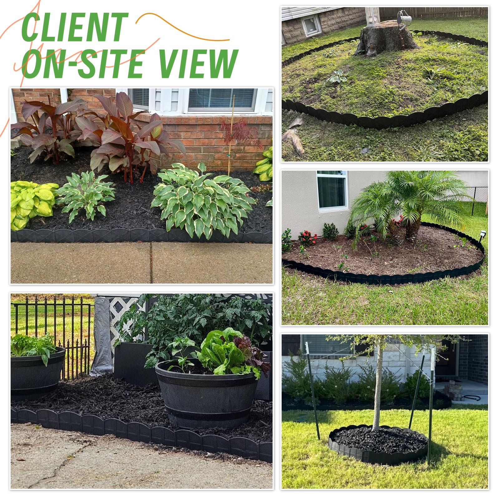 AMURS backyard landscape shot showing finished tidy bed and curb appeal