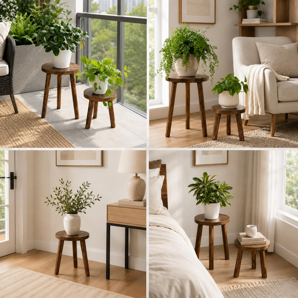 AMVAQKER assembled stand holding a 6-inch pot showing stable elevation benefit