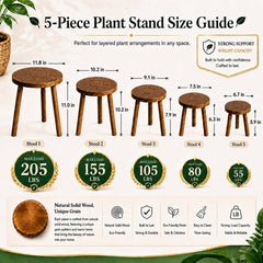 AMVAQKER stand beside ruler showing scale and sizing benefit for 6–12 inch pots