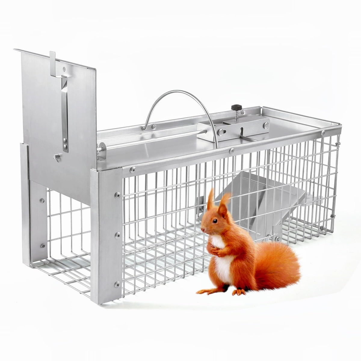 AMVOG trap front view showing sturdy galvanized mesh and secure single door benefit: durable captures