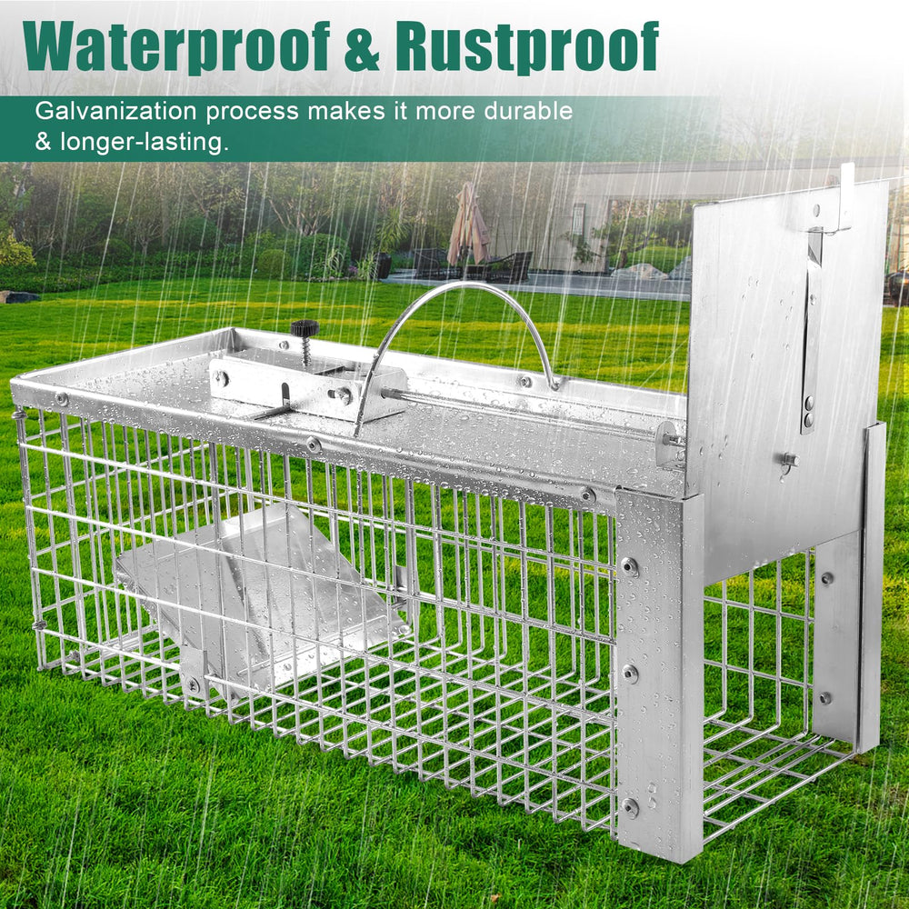 AMVOG trap placed near tree base baited in yard benefit: discreet backyard use