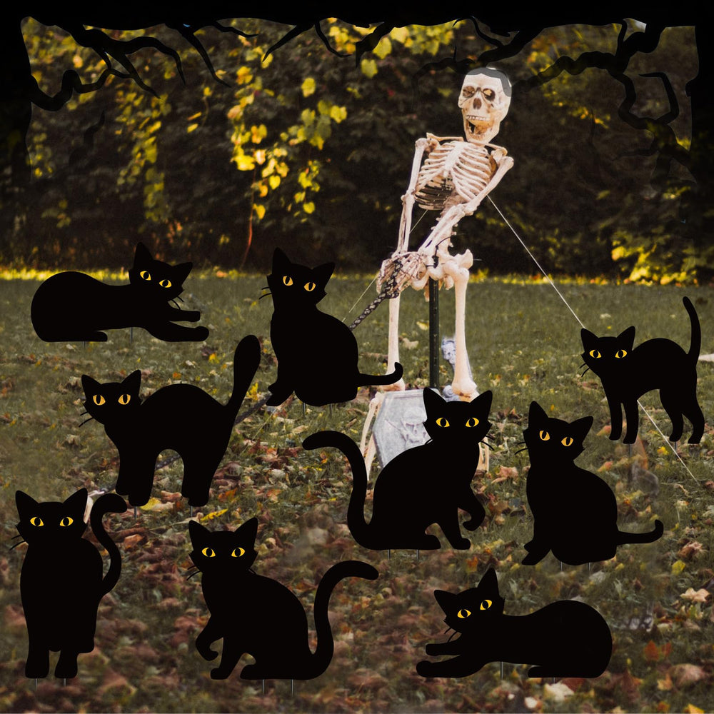 Amyhill nighttime scene of lit cats enhancing Halloween curb appeal and safety benefit