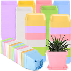 Amyhill front view of 100-pack showing neat stacked pots and saucers for efficient storage