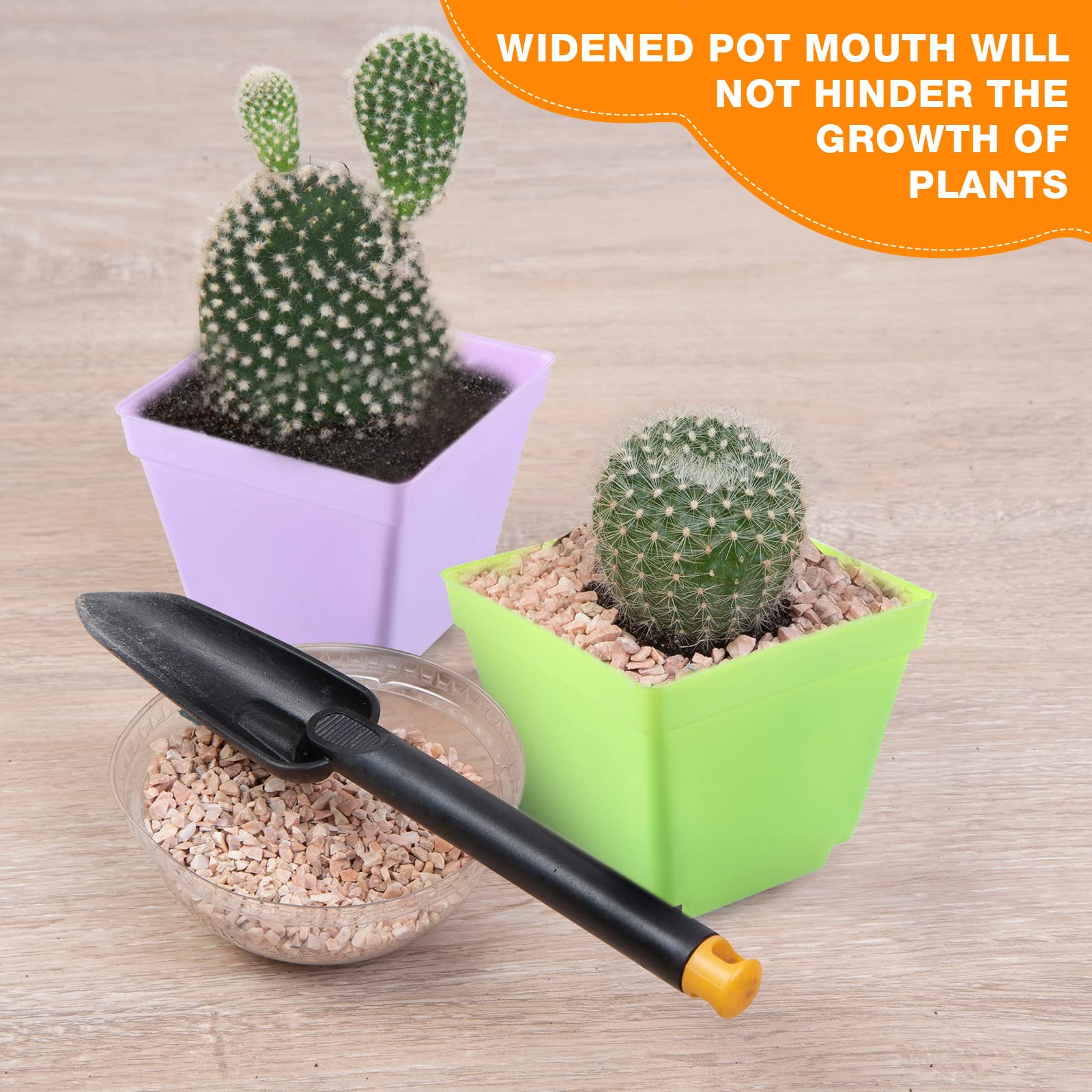 Amyhill rim texture close-up highlighting sturdy lip for easy handling and transplanting