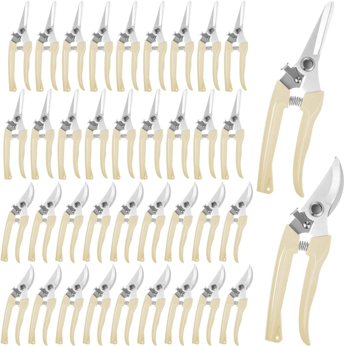 Amylove front packaging showing full 24-piece pruning set and benefits