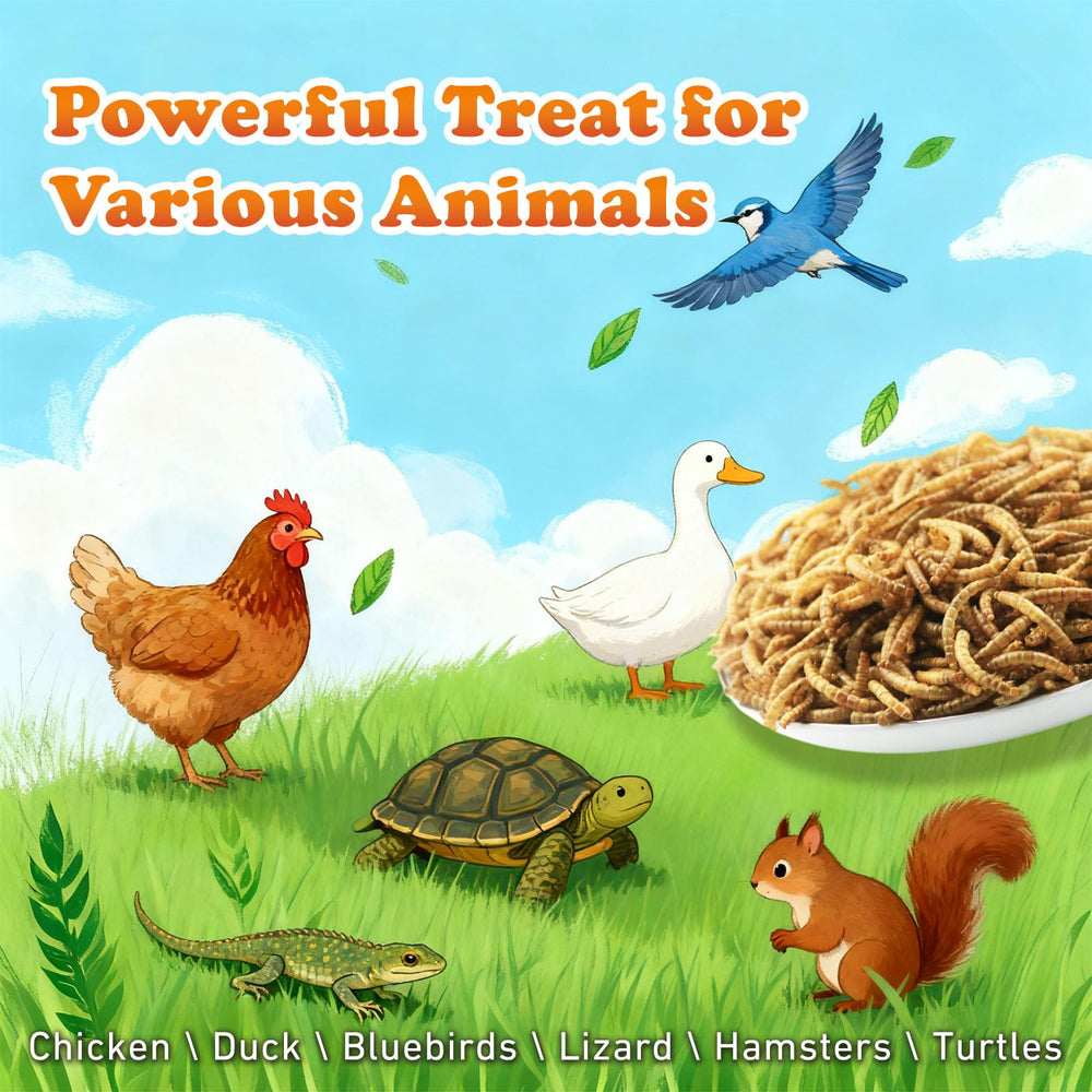 Amzey mealworms in a shallow dish offered to a reptile, easy feeding option