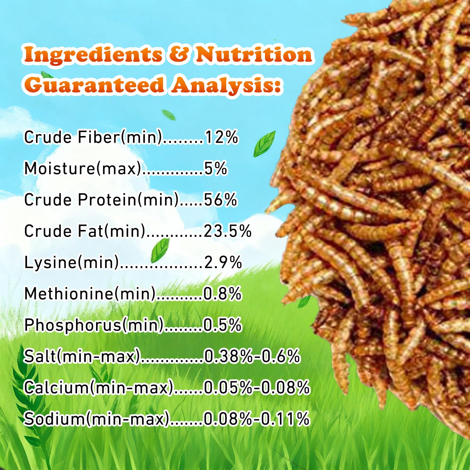 Amzey mealworms served in outdoor feeder attracting wild birds, encourages foraging