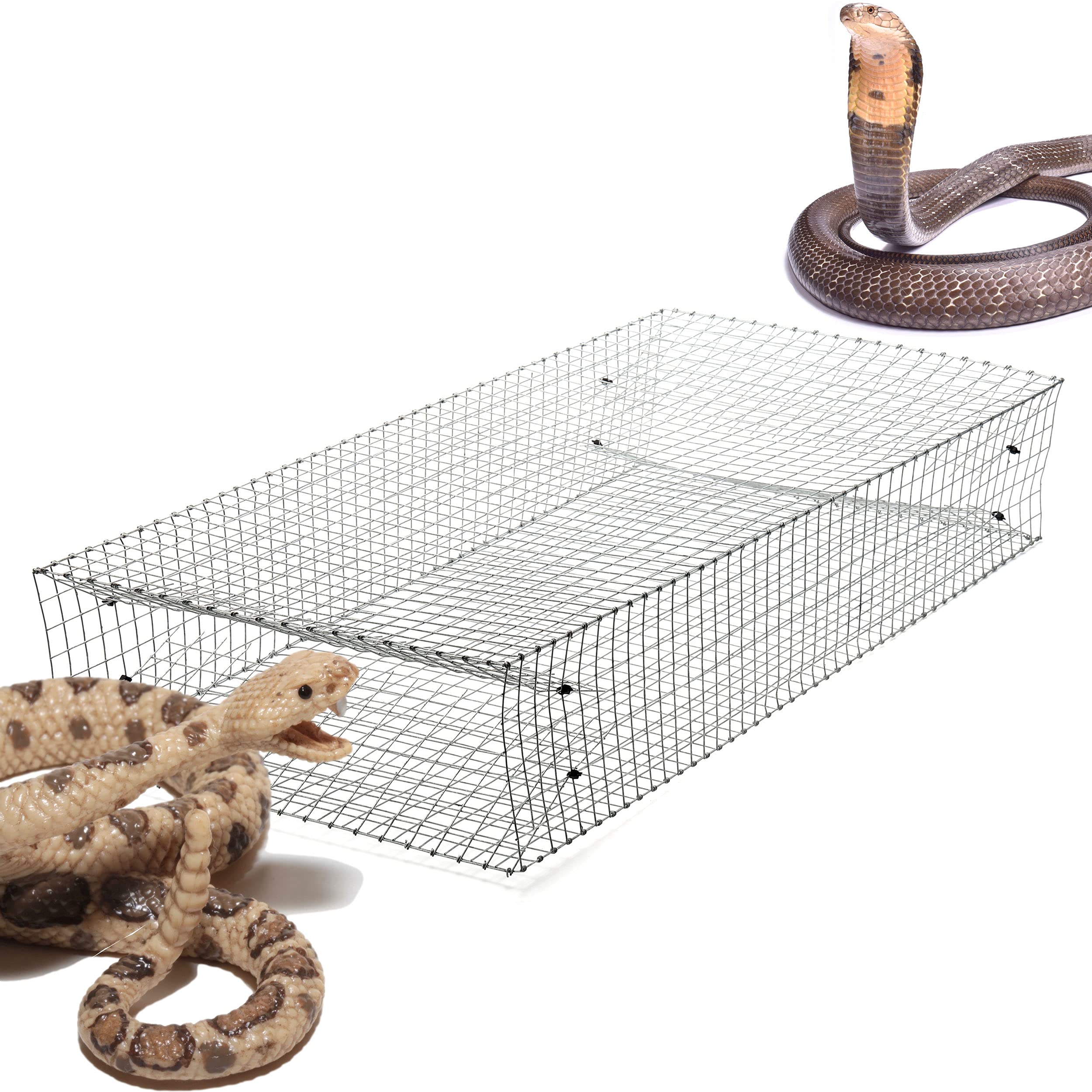 AMZTraps front view showing dual entrances and secure containment benefit