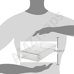 AMZTraps placed in garden capturing snake safely without poisons benefit