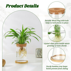 Anboliwb close-up borosilicate glass texture revealing clear water level visibility