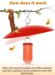 andergi dome installed over hummingbird feeder for weather protection