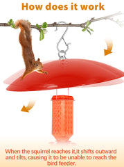 andergi dome in use above hummingbird feeder improving nectar protection