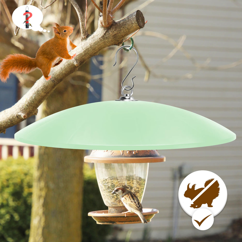 andergi in backyard with hummingbird feeder showing reduced squirrel interference