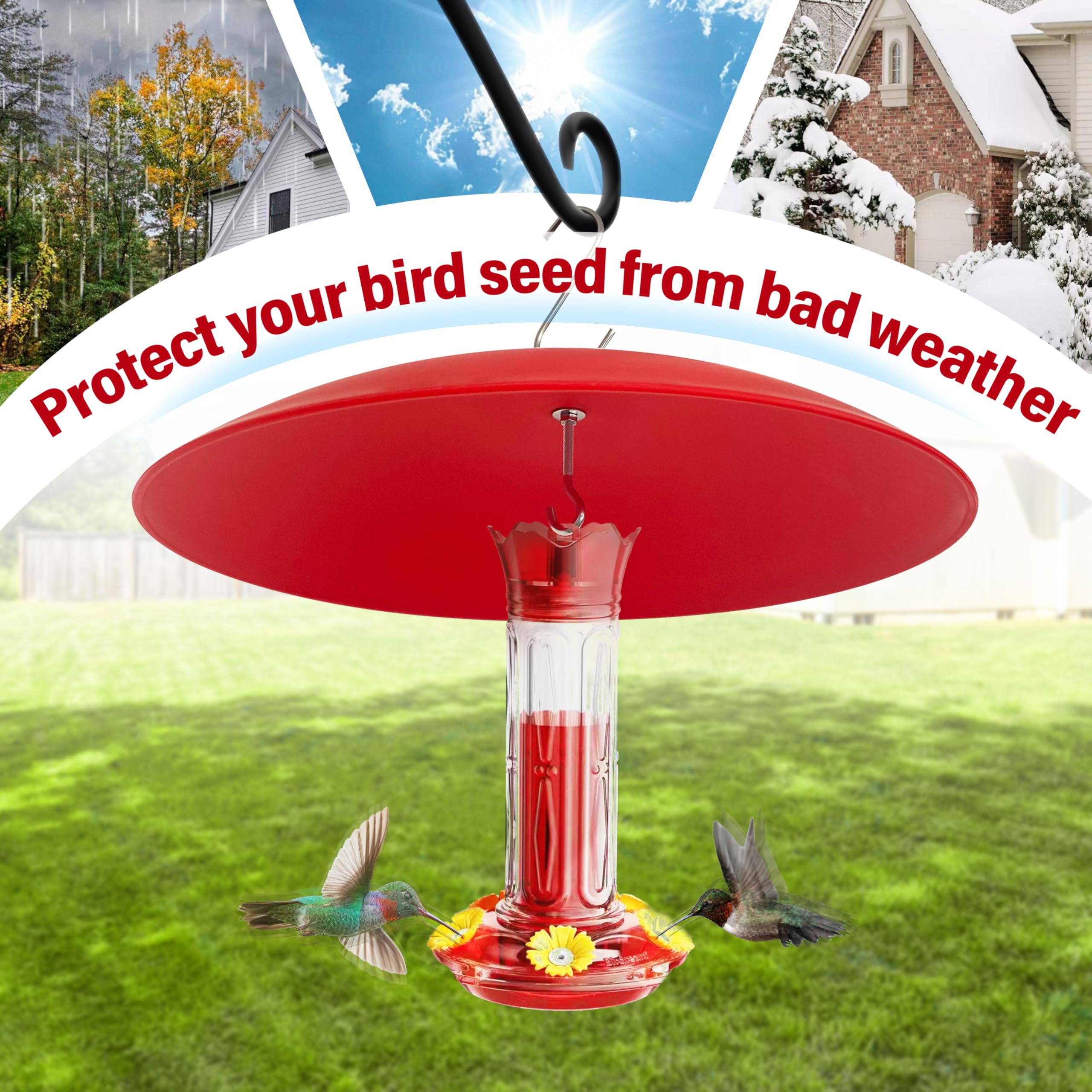 andergi dome in garden setting enhancing backyard birdwatching