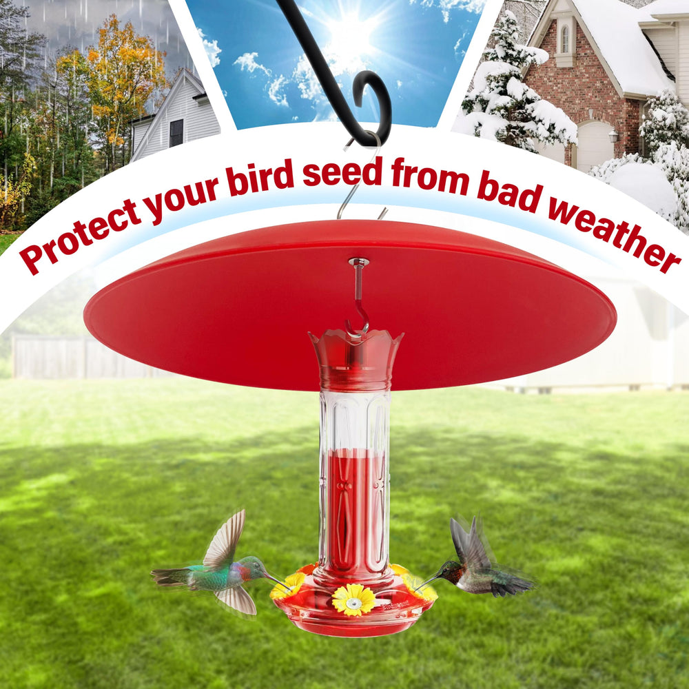 andergi dome in garden setting enhancing backyard birdwatching
