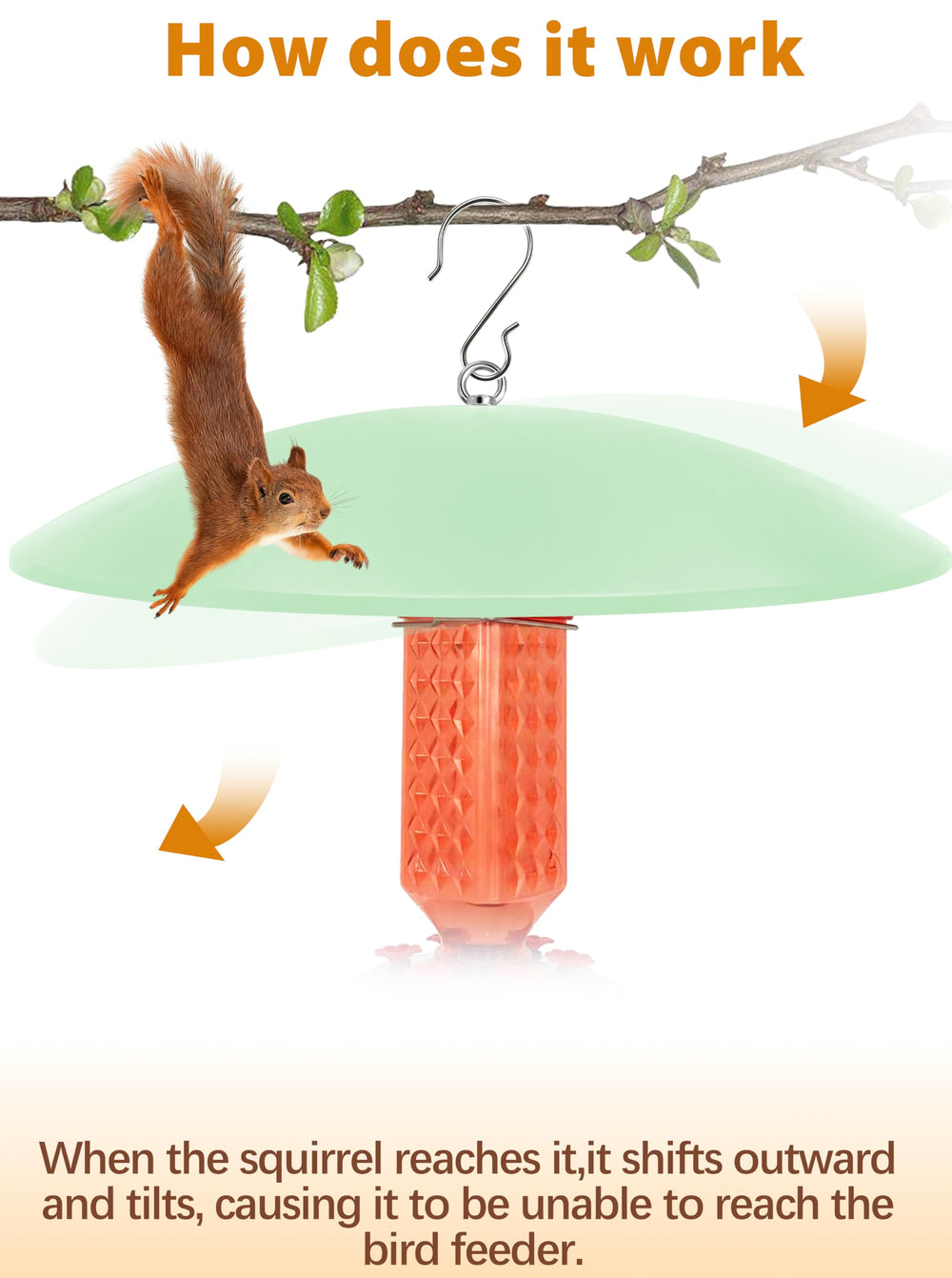 andergi next to feeder for scale showing extra-large 19.25-inch diameter benefit