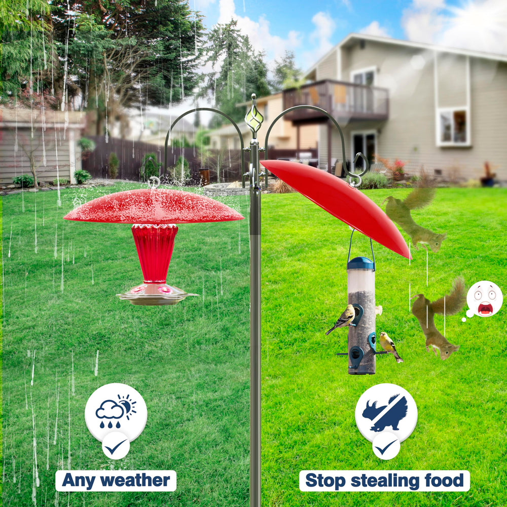 andergi three-pack displayed together for value and garden styling
