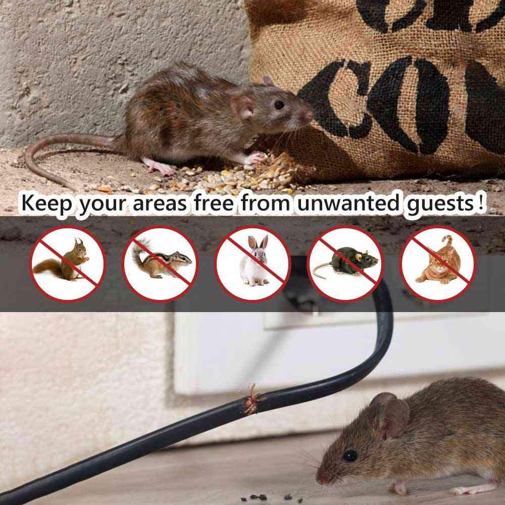 Angveirt placed inside an RV storage compartment showing travel-ready protection