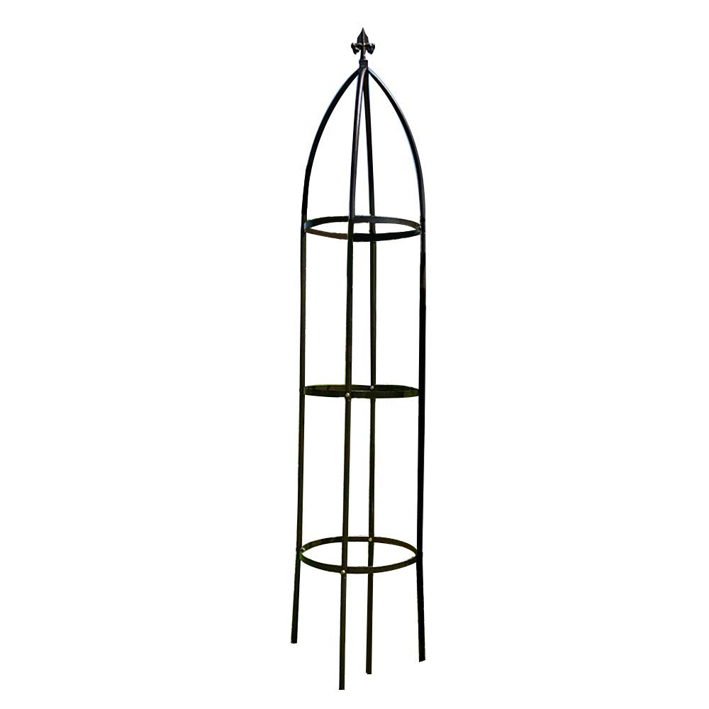 AngyangguoJi bronze trellis front view shows elegant support for climbers