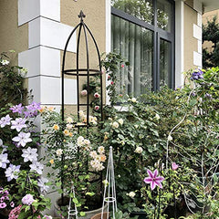 AngyangguoJi trellis assembled with roses illustrates decorative garden focal point