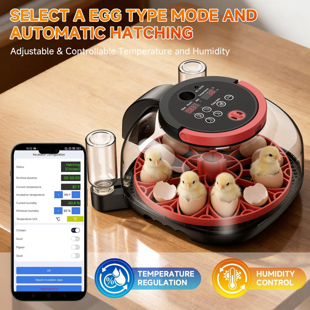 ANIERY egg tray with 12 eggs and auto-turner showing even rotation benefit