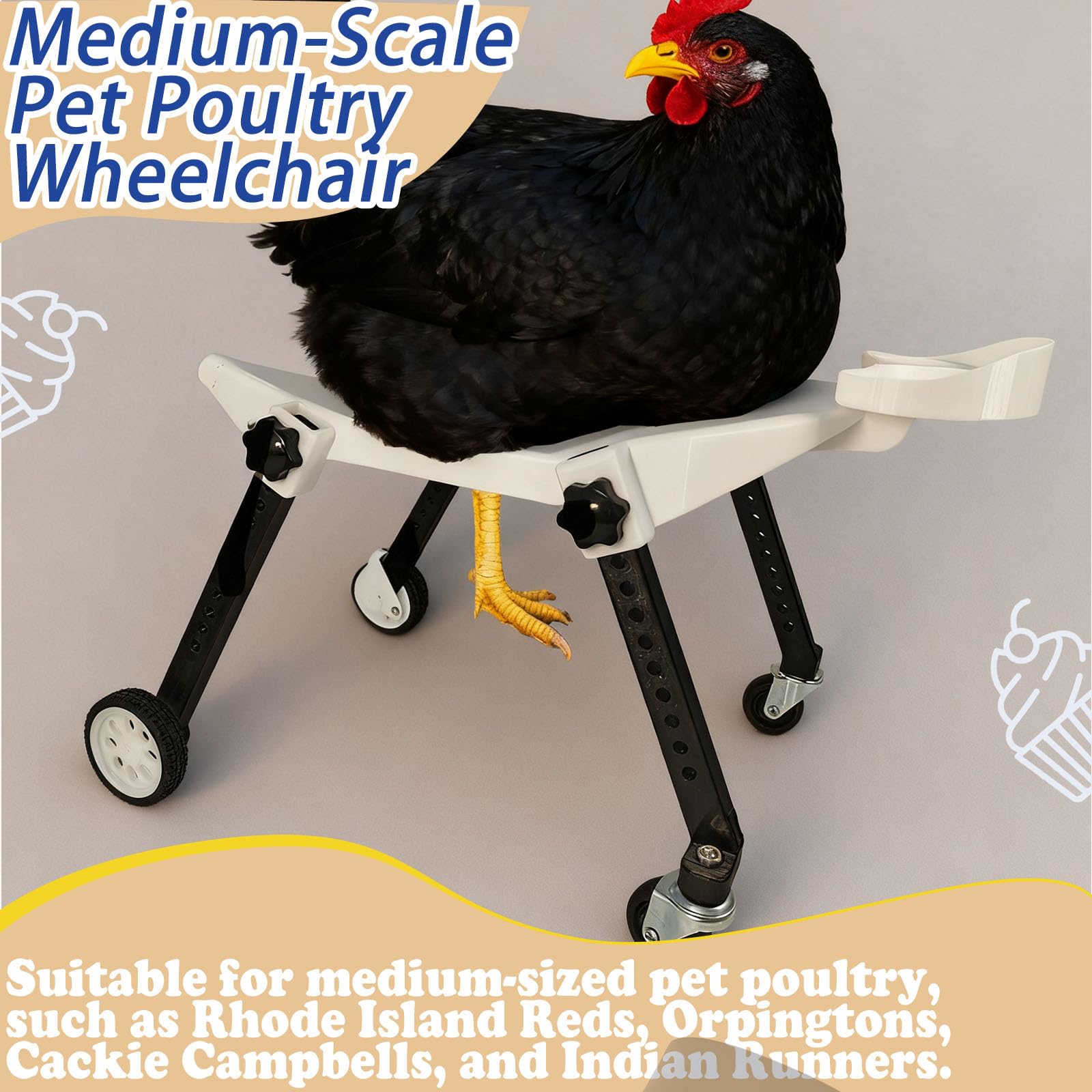 ANIMOASIS side profile on chicken demonstrating upright posture and freer movement
