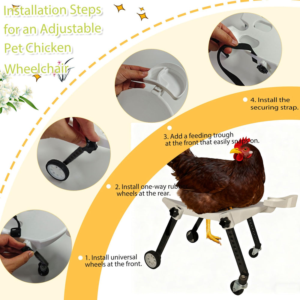 ANIMOASIS size comparison with ruler showing correct fit for medium chickens