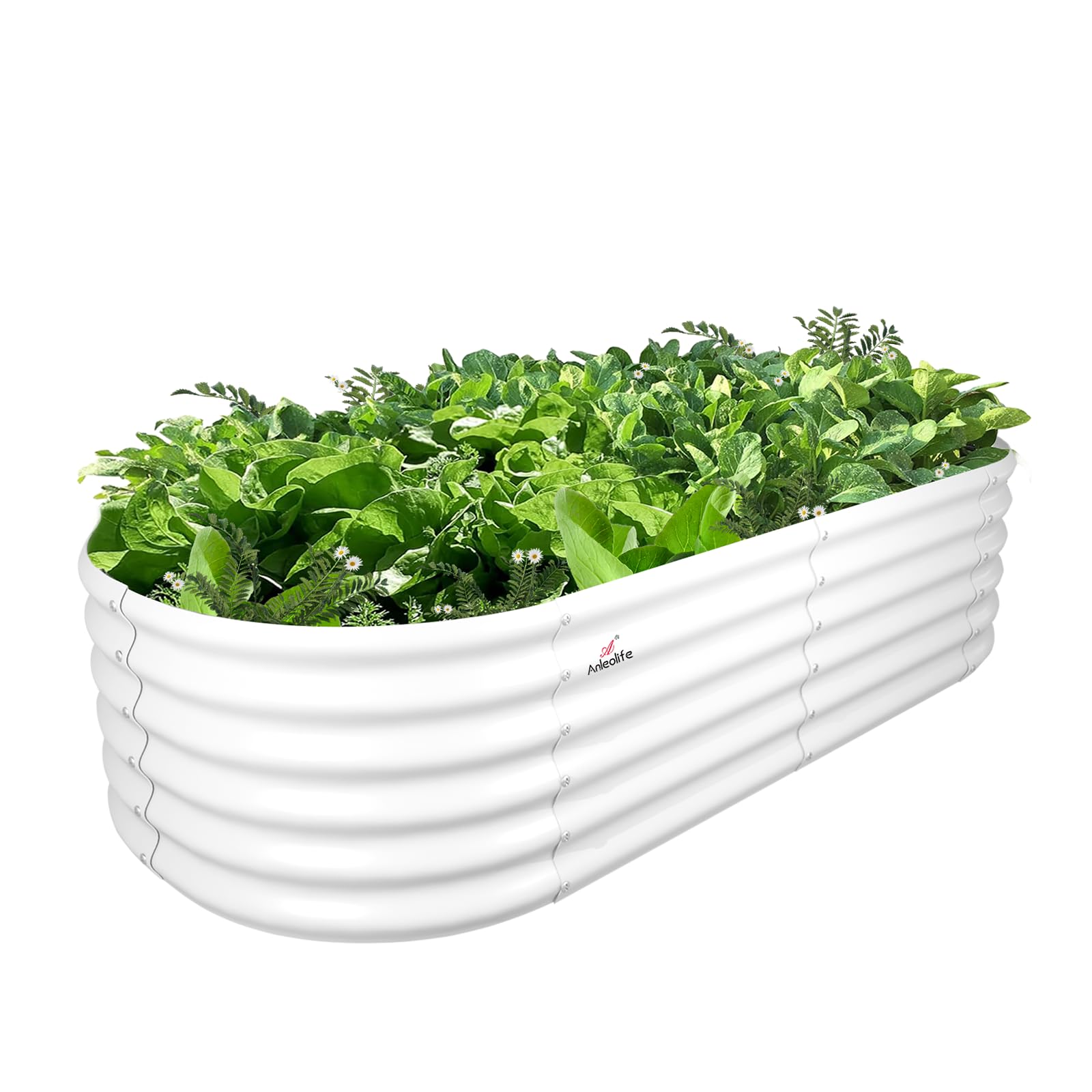 A ANLEOLIFE front view of oval raised garden bed showing neat planting area and benefit of organization