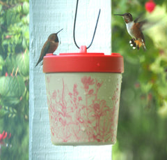 Anna's Healthy Hummingbird front view showing leak-resistant lid and ports, durable benefit