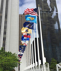 Annin Flagmakers flag flying on a home flagpole demonstrating outdoor durability and visual impact