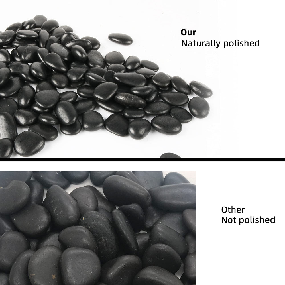 Anothera pebbles spread on aquarium floor supporting plant aesthetics