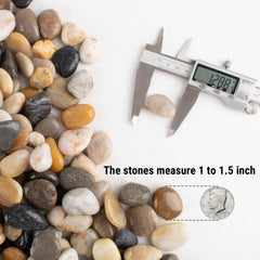 Anothera pebbles used as aquarium substrate showing safe, natural look