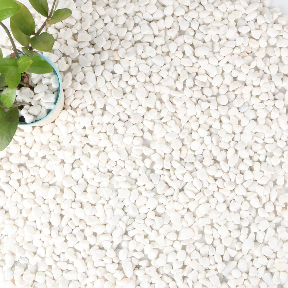 Anothera front-of-bag showing 18-lb white pebbles and product benefit visibility