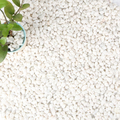 Anothera front-of-bag showing 18-lb white pebbles and product benefit visibility