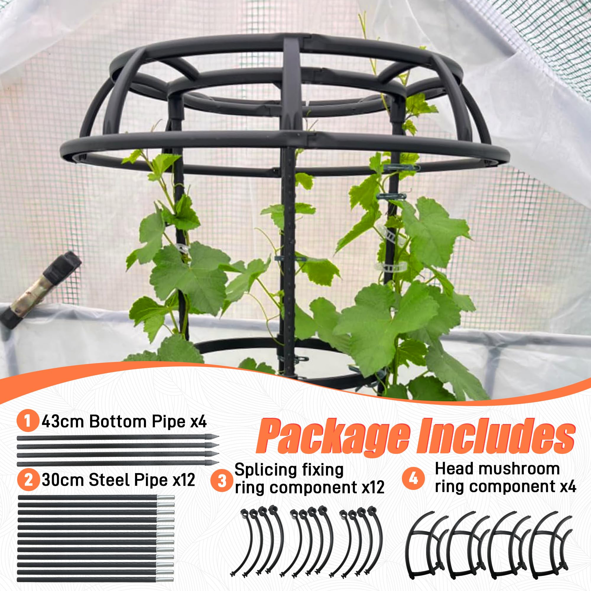 Anothera trellis in garden setting enhancing plants and outdoor aesthetics