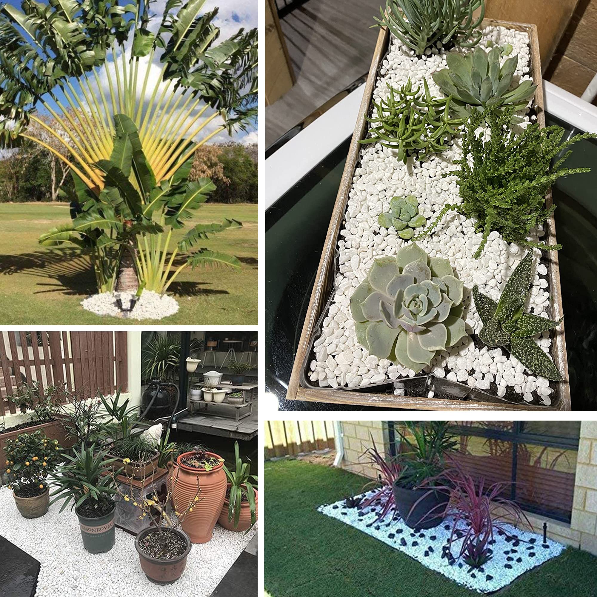 Anothera product label and weight tag showing 18 pounds and product info