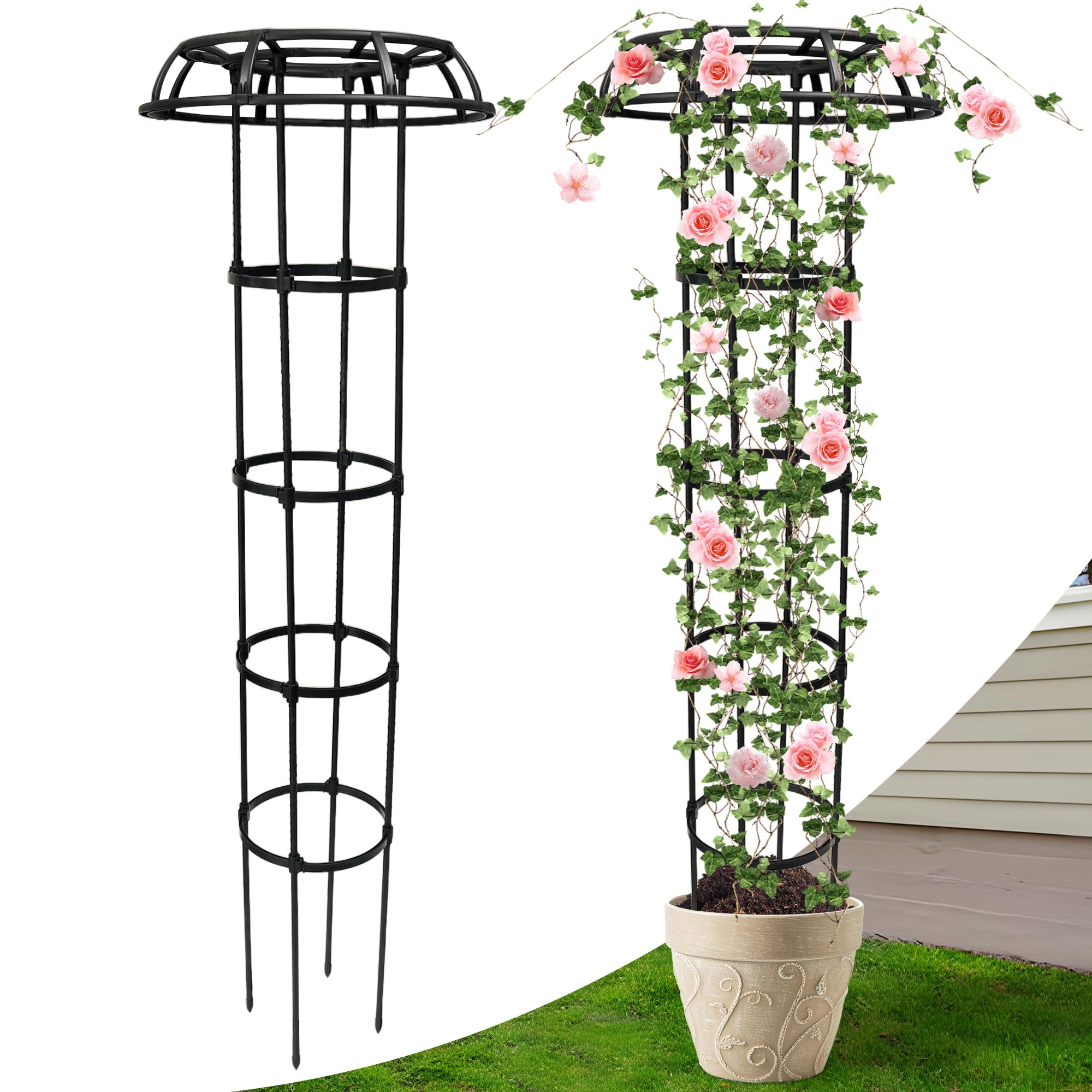 Anothera front view of mushroom top trellis showing full structure and support benefits