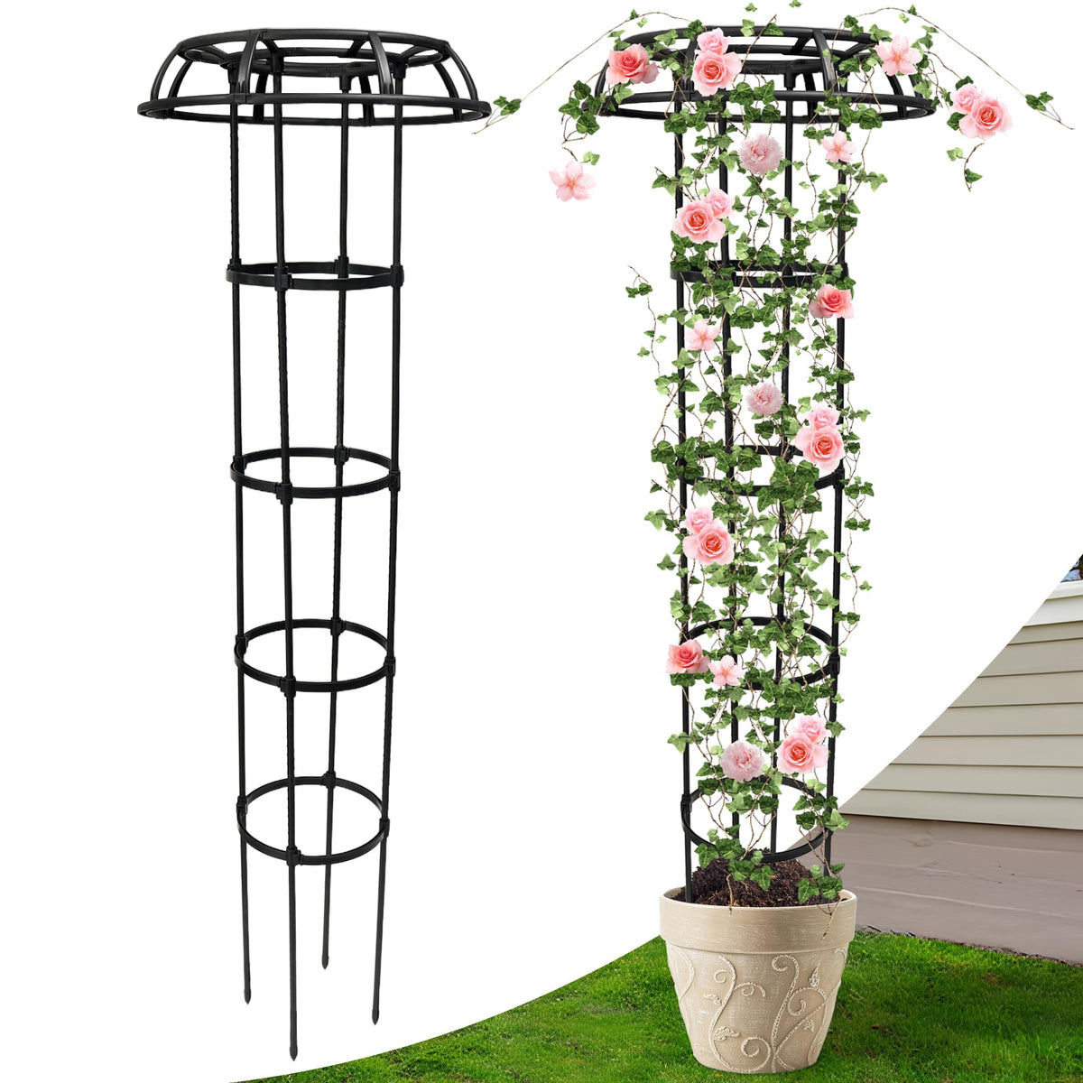 Anothera front view of mushroom top trellis showing full structure and support benefits