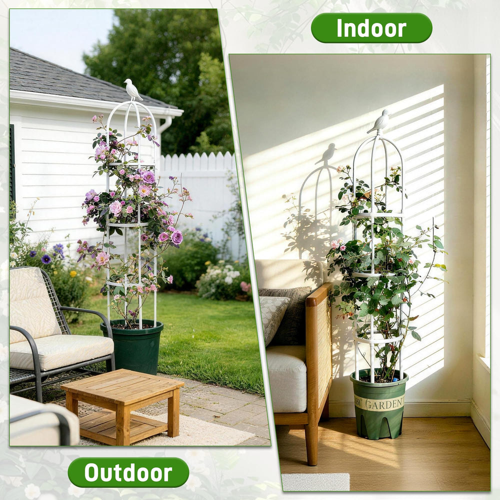 Anothera trellis next to tape measure showing 6ft height and clear size reference benefit