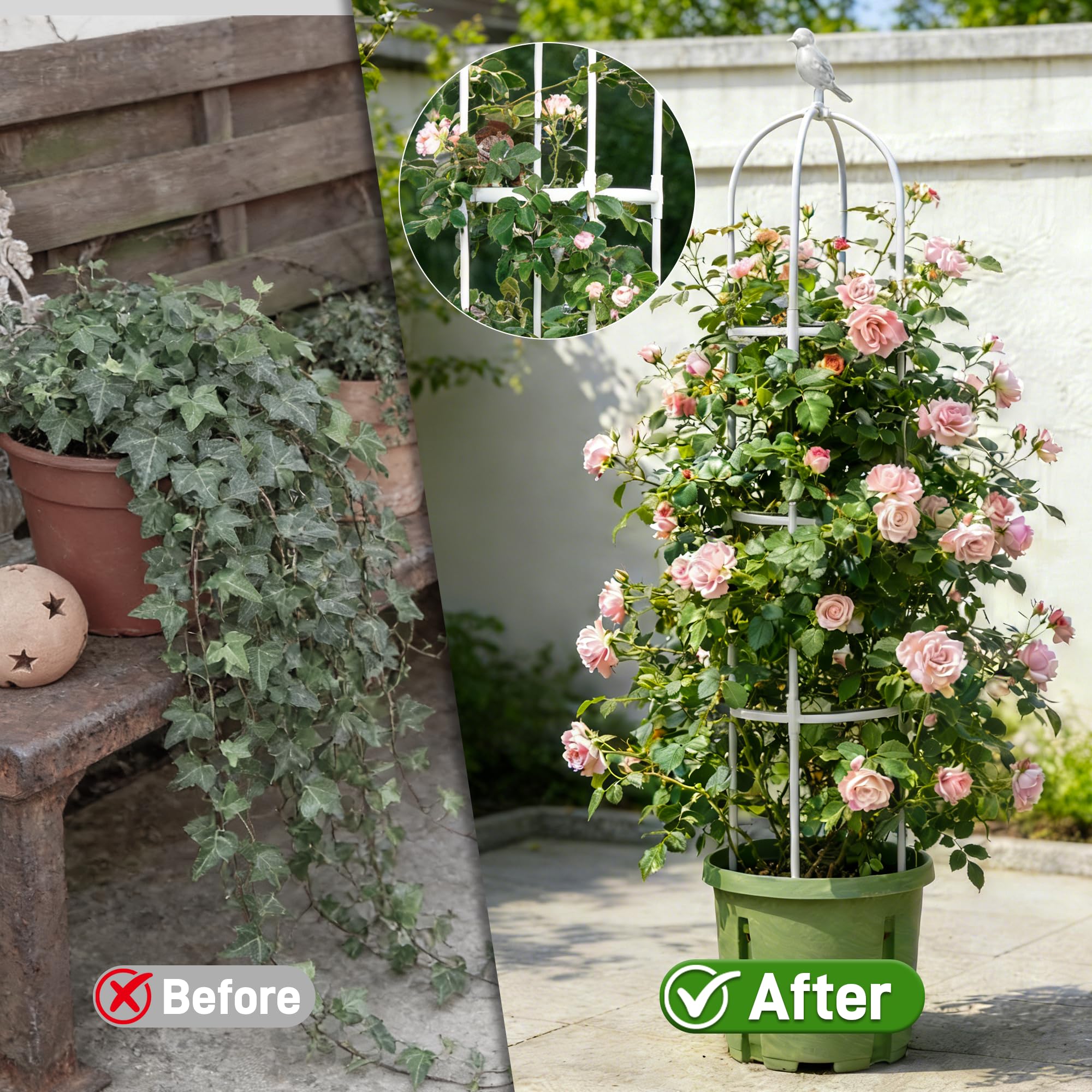 Anothera trellis in a large pot styling a patio and maximizing vertical planting benefit