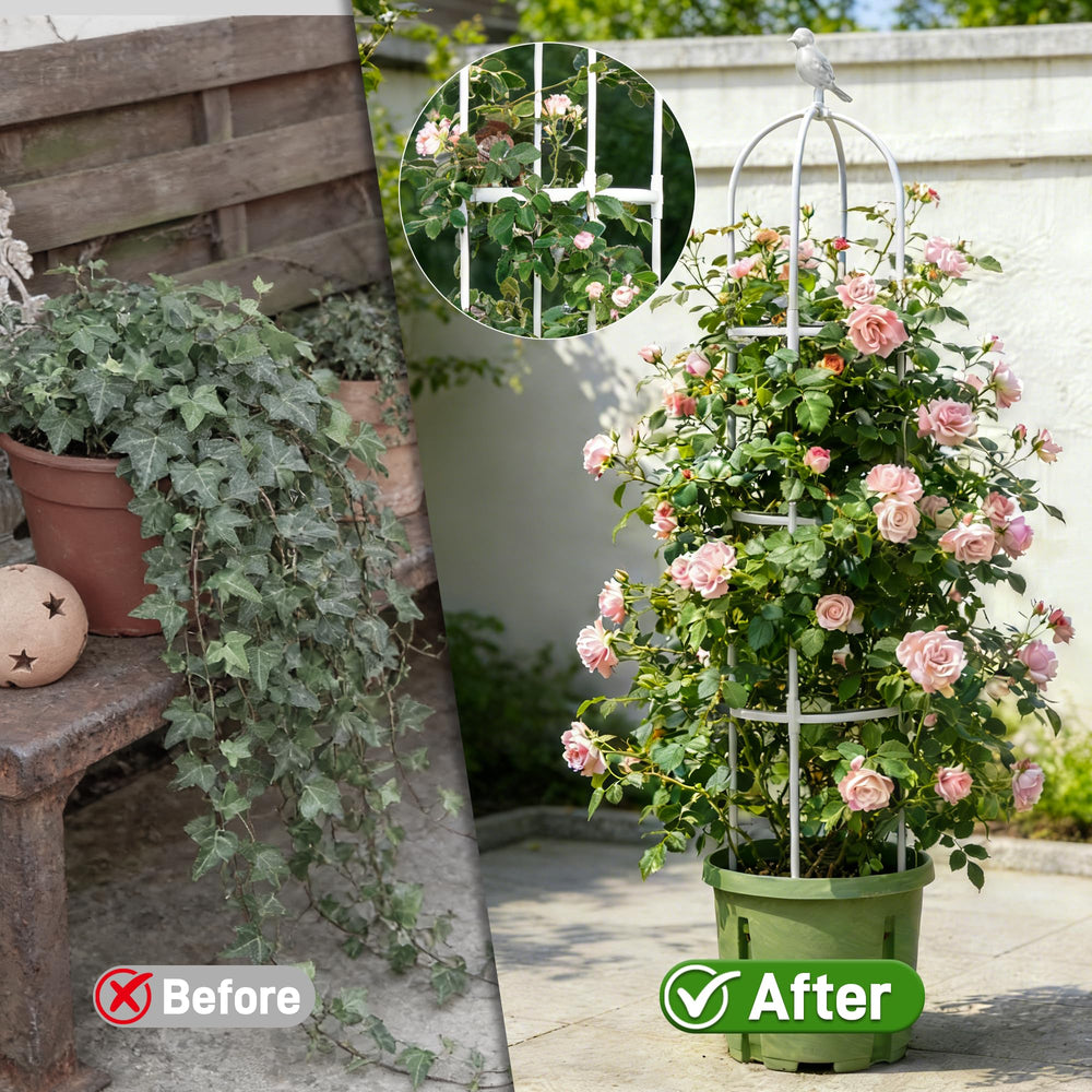 Anothera trellis in a large pot styling a patio and maximizing vertical planting benefit